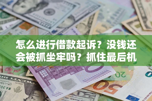 北京怎么进行借款起诉？没钱还会被抓坐牢吗？抓住最后机会！