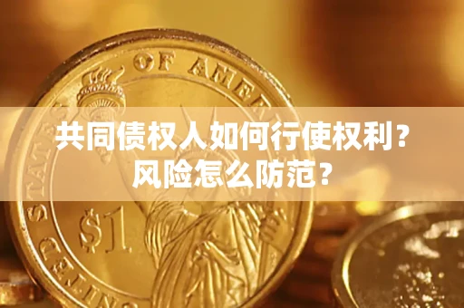 北京共同债权人如何行使权利？风险怎么防范？