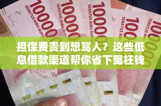 北京担保费贵到想骂人？这些低息借款渠道帮你省下冤枉钱