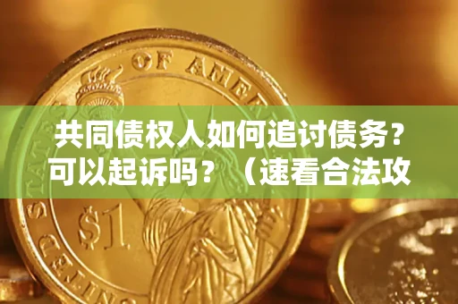 北京共同债权人如何追讨债务？可以起诉吗？（速看合法攻略）