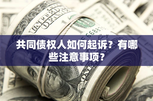 北京共同债权人如何起诉？有哪些注意事项？